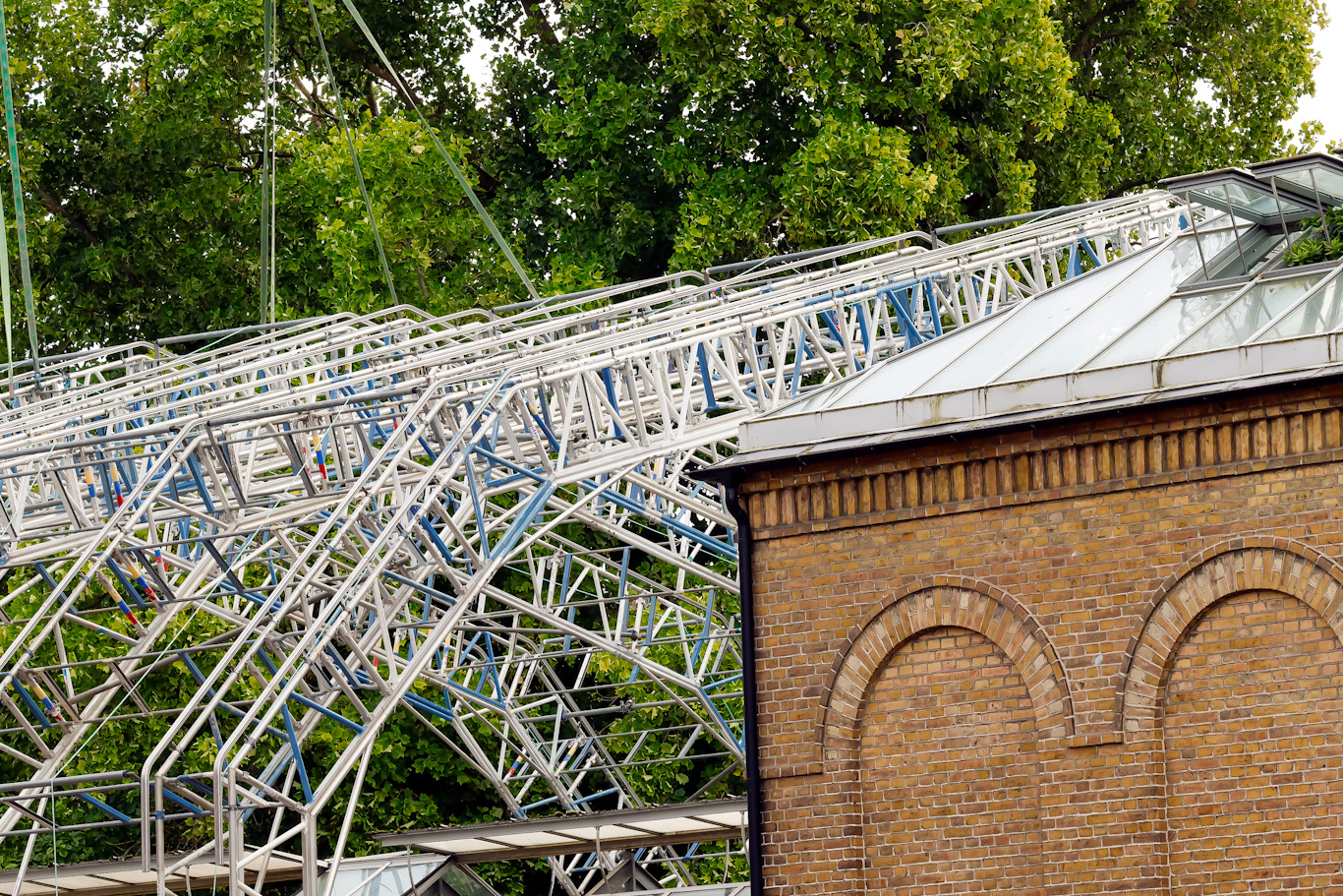 Växthusbygge, september 2024, Botaniska trädgården. Foto: Dan Abelin.